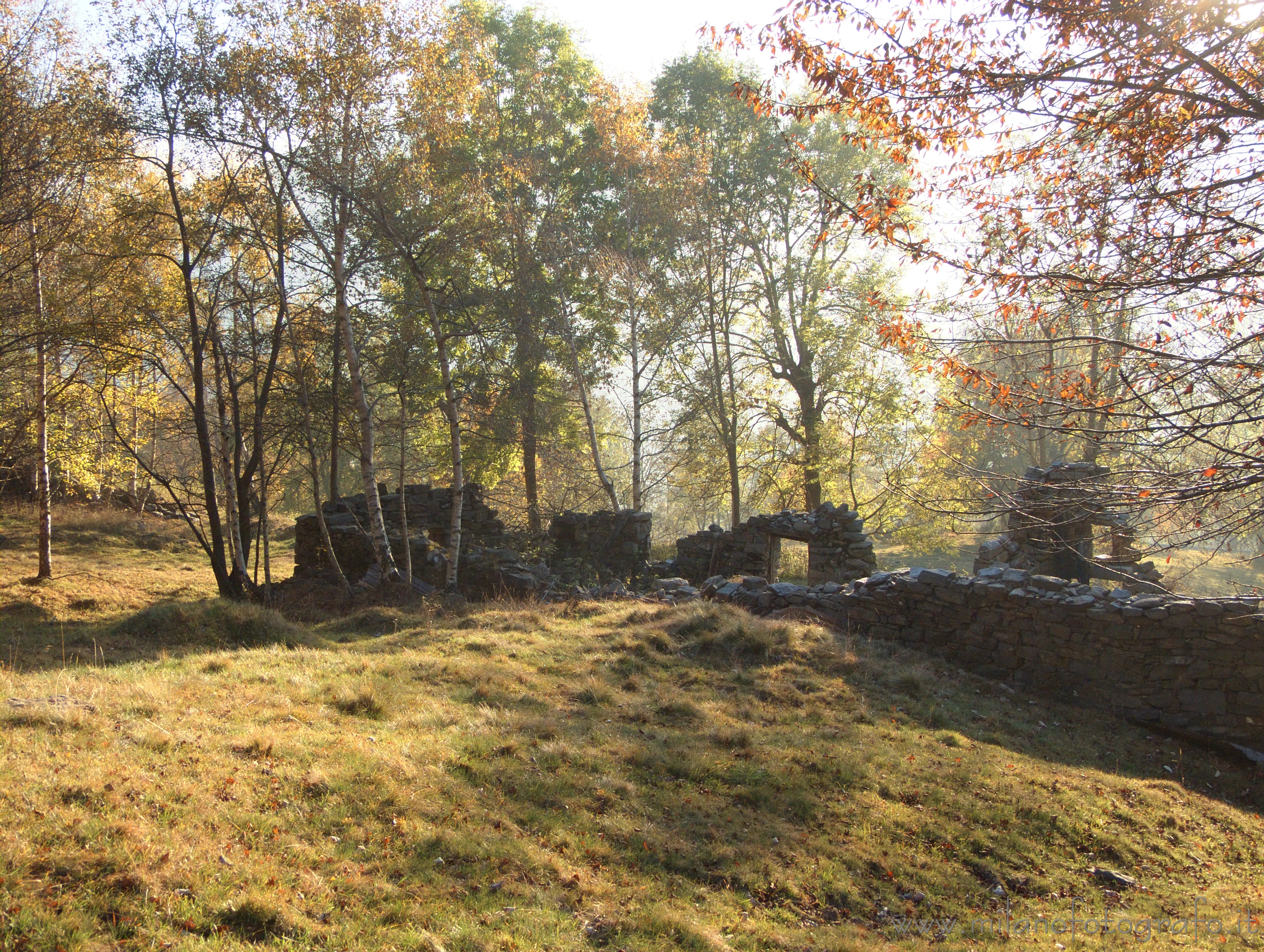 Piaro (Biella) - Radura controluce in autunno